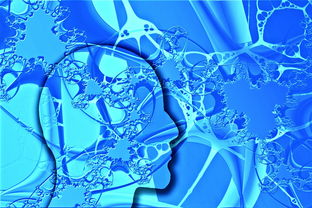 mk体育app下载-中国足球不同战术体系试验数据，国足战术风格